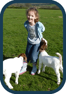 Devon Holidays - Meet the animals at Puddleduck Valley